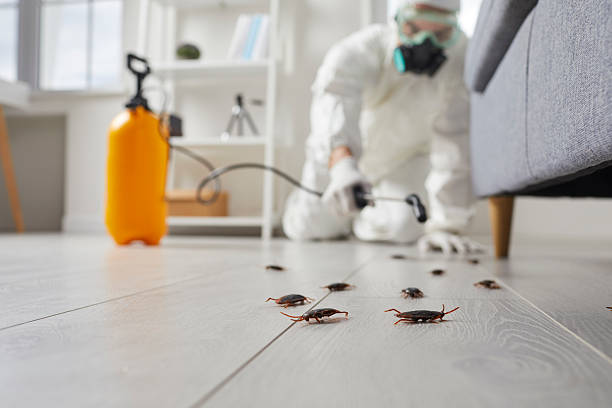 Commercial Kitchen Cockroach Control in Warrenton